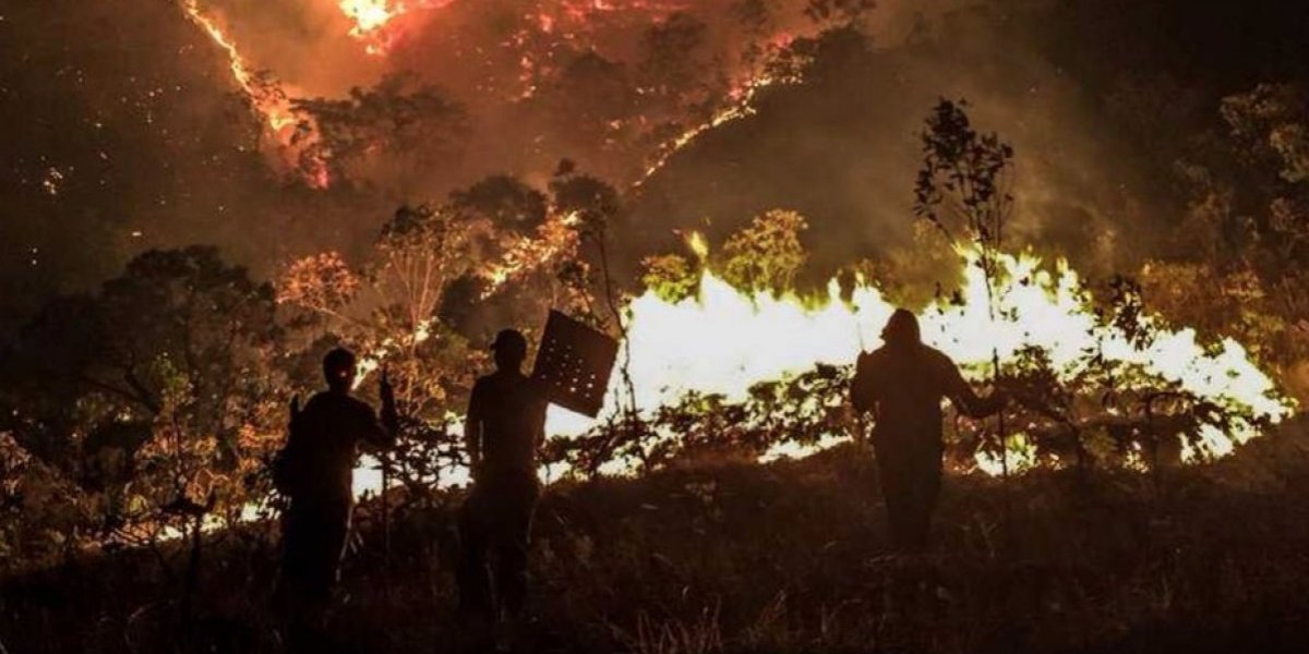 Incendio en parque nacional de Brasil ya ha arrasado más de 64.000 hectáreas
