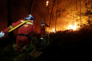 Asciende a cuatro el número de fallecidos por incendios en Galicia
