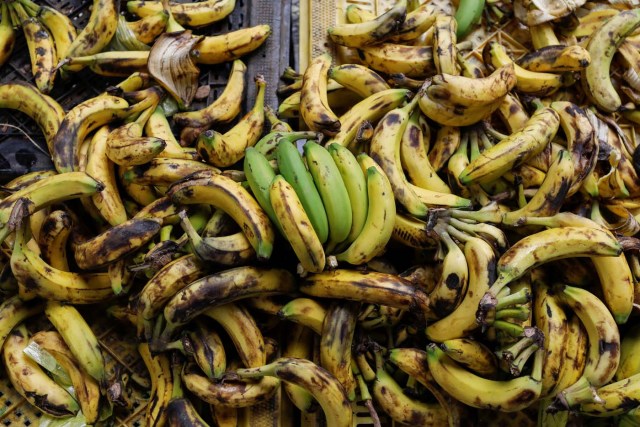 Bananas for sale are seen at a street market in Caracas, Venezuela November 3, 2017. Picture taken November 3, 2017. REUTERS/Marco Bello