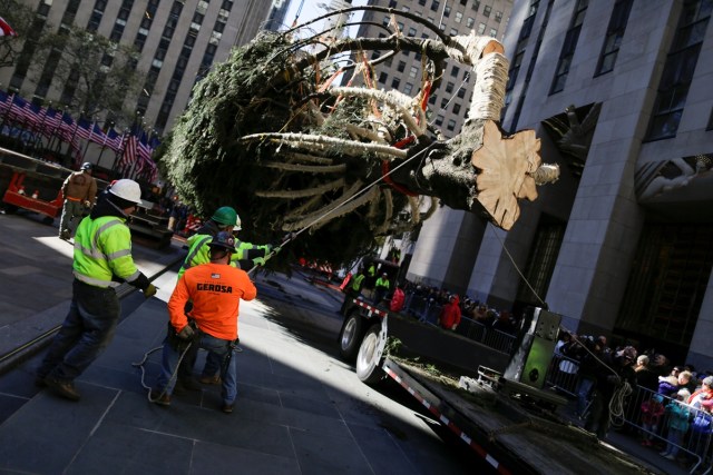 People work on a Christmas tree at Rockefeller Center in New York, U.S., November 11, 2017.  REUTERS/Eduardo Munoz