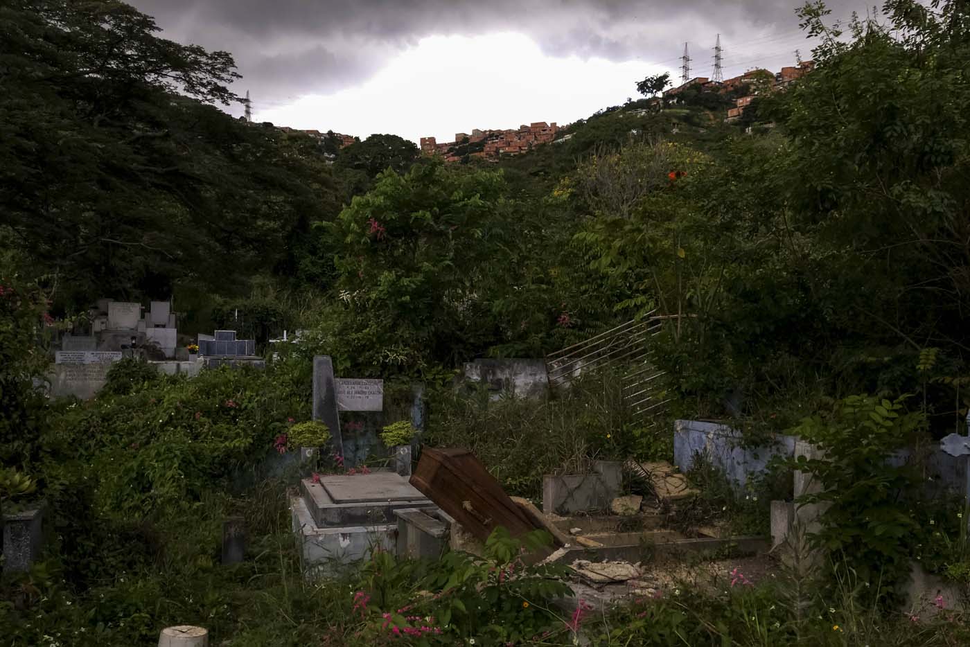 El Cementerio del Sur, la necrópolis de Venezuela donde casi todas las tumbas están profanadas (Video)