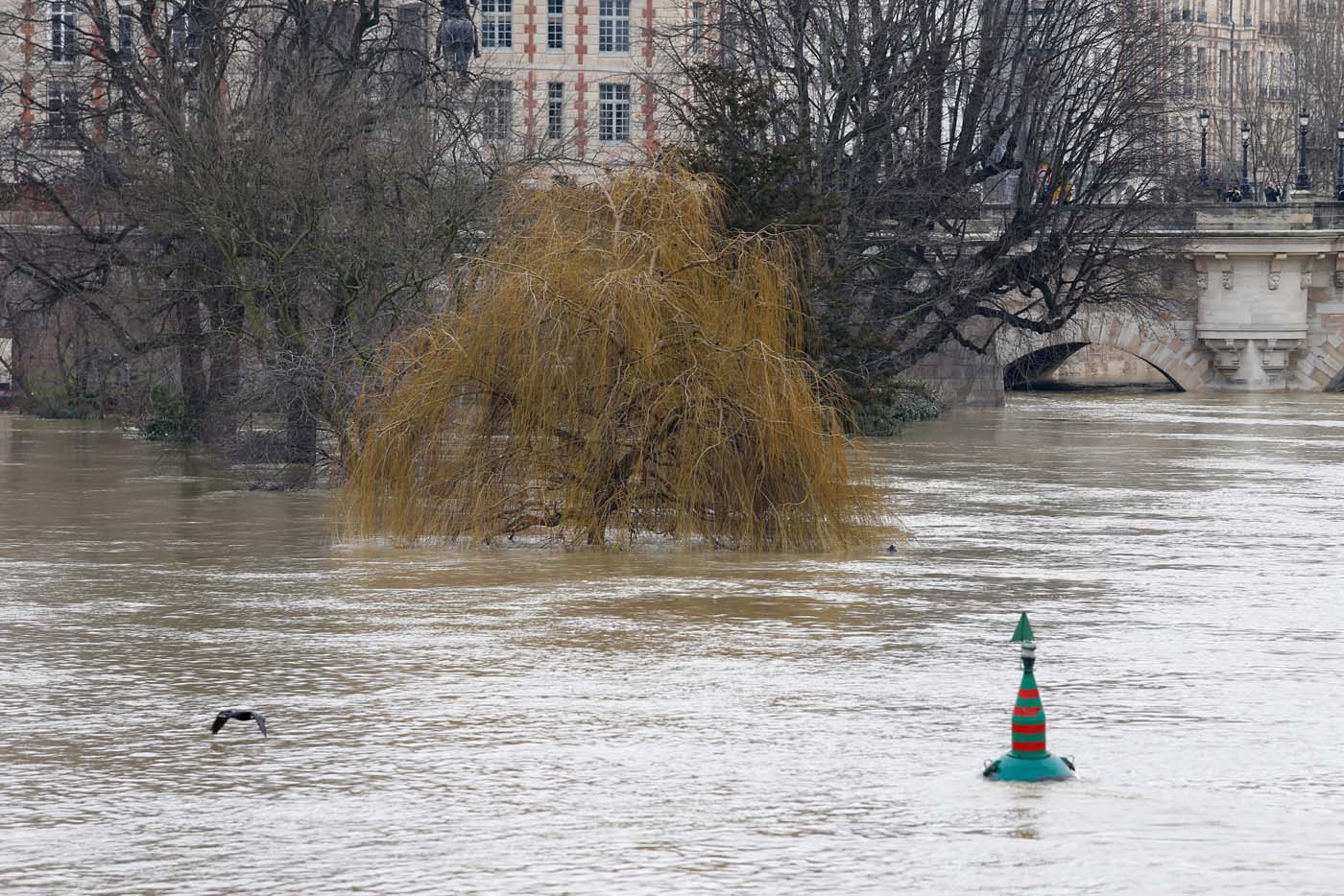 El Sena sigue subiendo y mantiene a París en alerta (fotos)