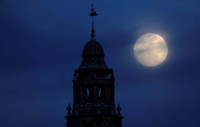 A blue moon rises over Balboa Park's California Tower in San Diego, California, U.S., January 30, 2018. REUTERS/Mike Blake