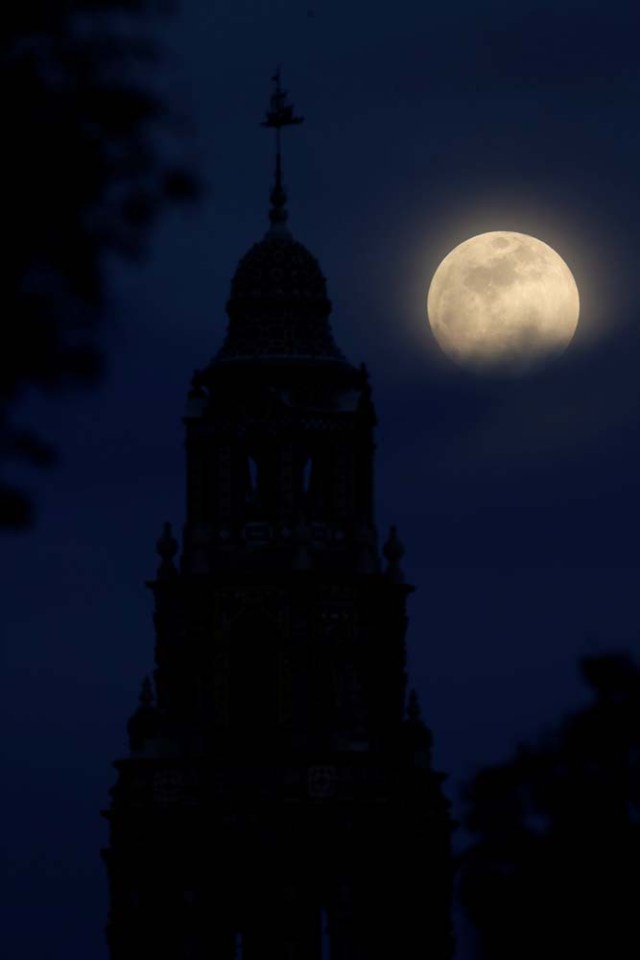 A blue moon rises over Balboa Park's California Tower in San Diego, California, U.S., January 30, 2018. REUTERS/Mike Blake