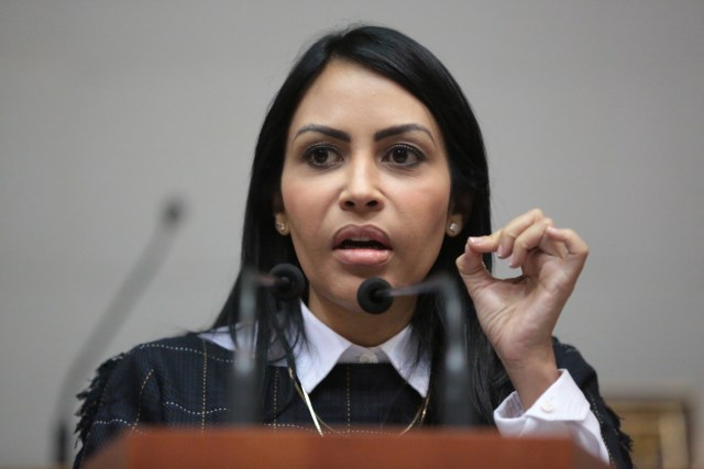 Delsa Solórzano, diputada de la AN // Foto Prensa