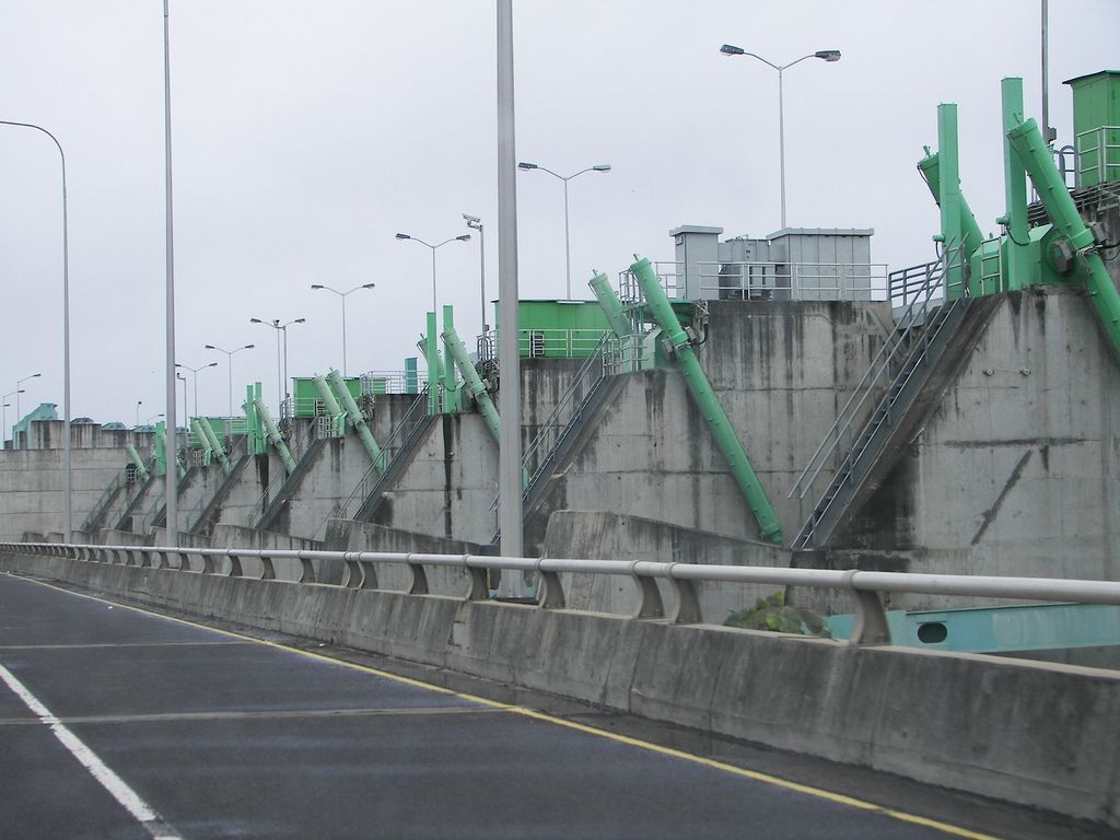 Mujer de 65 años se lanzó desde el puente de Macagua en Bolívar