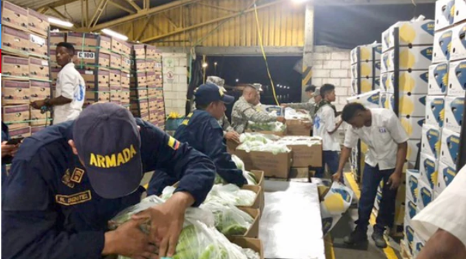 Narcobananas en Colombia: incautaron 5,3 toneladas de cocaína camufladas en plátanos