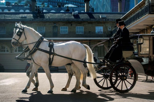 Two Windsor Greys, which will pull the carriage at the wedding of Prince Harry and Meghan Markle, at the Royal Mews at Buckingham Palace, London. Picture taken May 1, 2018. REUTERS/Victoria Jones/Pool