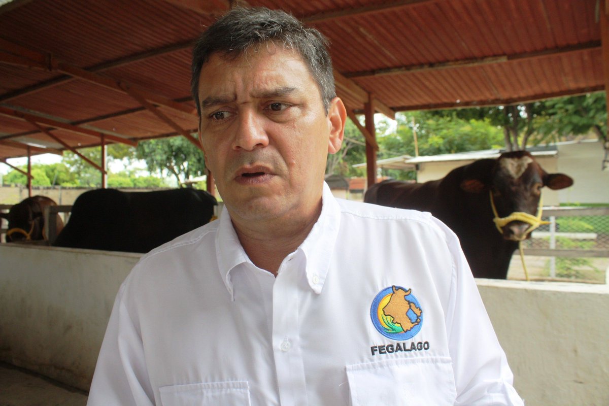 Se pierden al menos 100.000 litros de leche en el Zulia por apagón