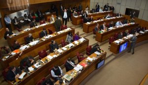 Senado de Paraguay respalda a la Asamblea Nacional venezolana en su lucha por la democracia (declaración)