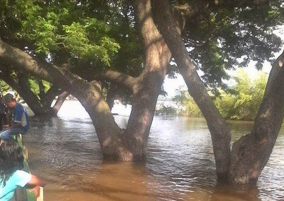 El Río Orinoco está a 7 centímetro de desbordarse