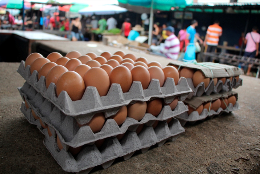 ¡Se acabaron los huevos en Táchira! No hay alimento ni medicinas para mantener el mercado avícola