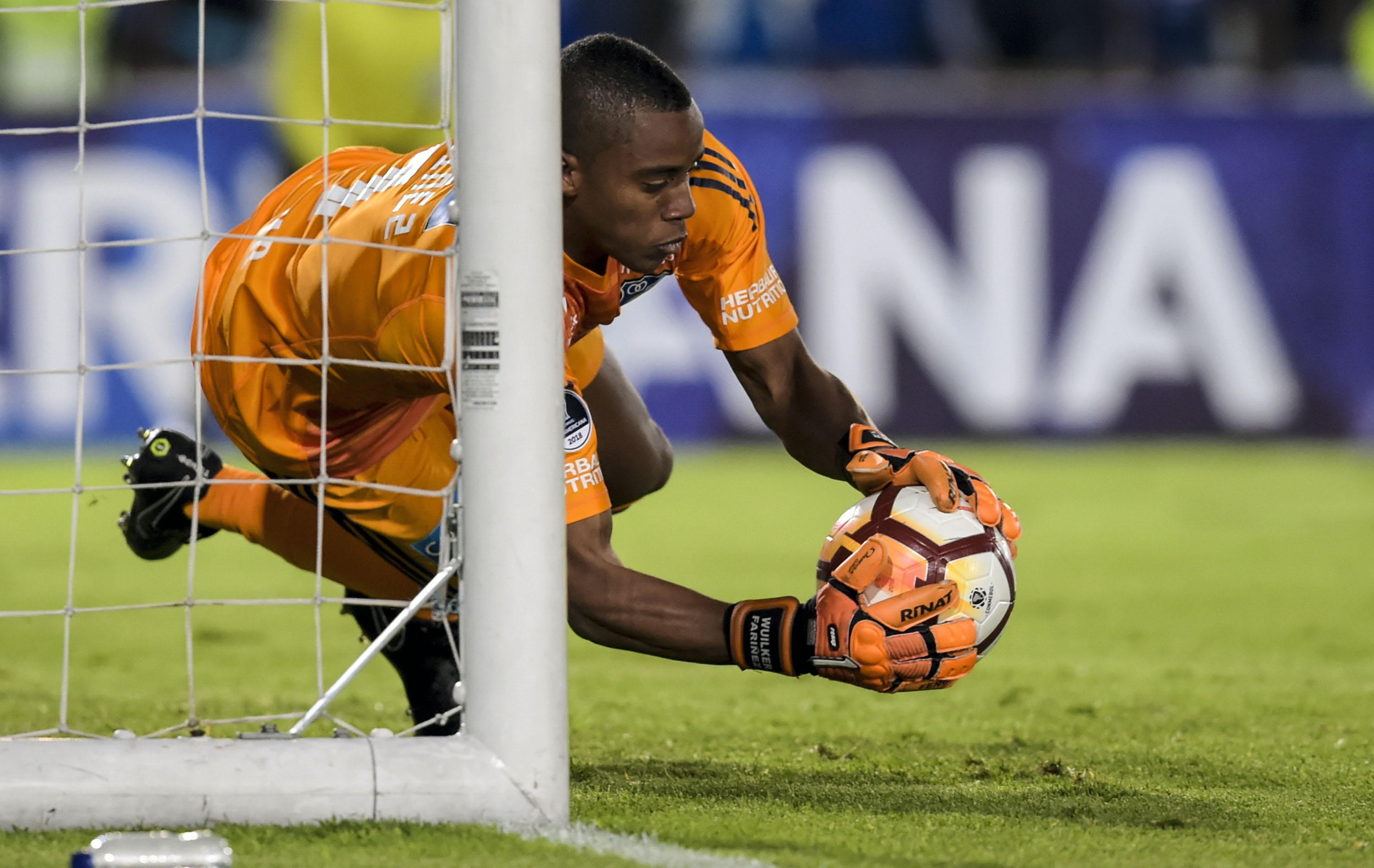 Wuilker Faríñez, único refuerzo de Millonarios que marca la diferencia en el fútbol colombiano