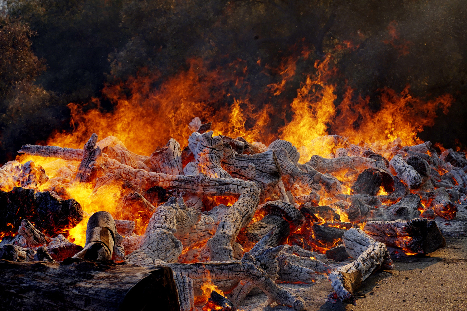 Sigue la búsqueda de más de 1.200 desaparecidos en el gran incendio de EEUU