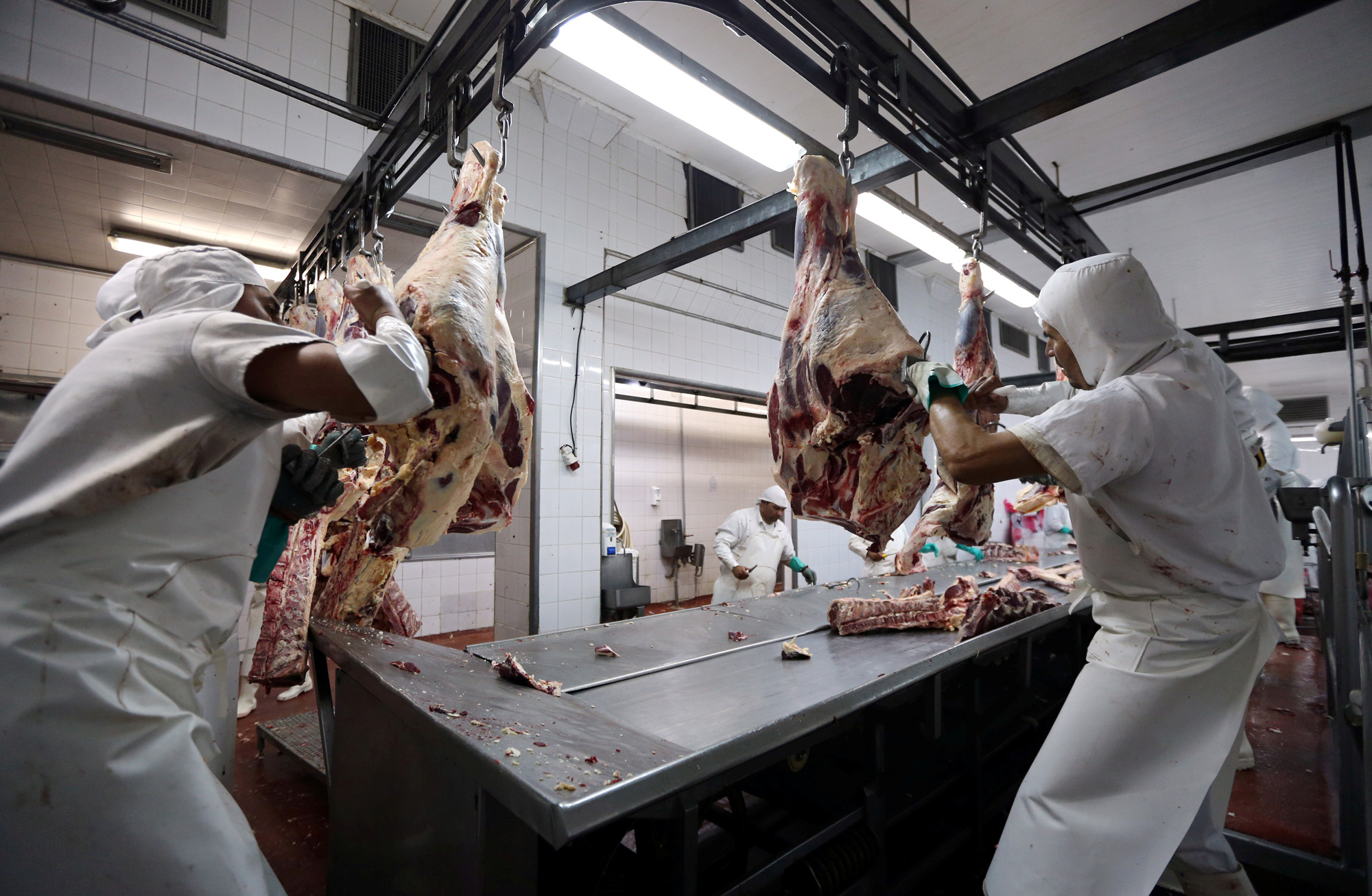 Ganaderos de Argentina en huelga contra cese de exportaciones de carne