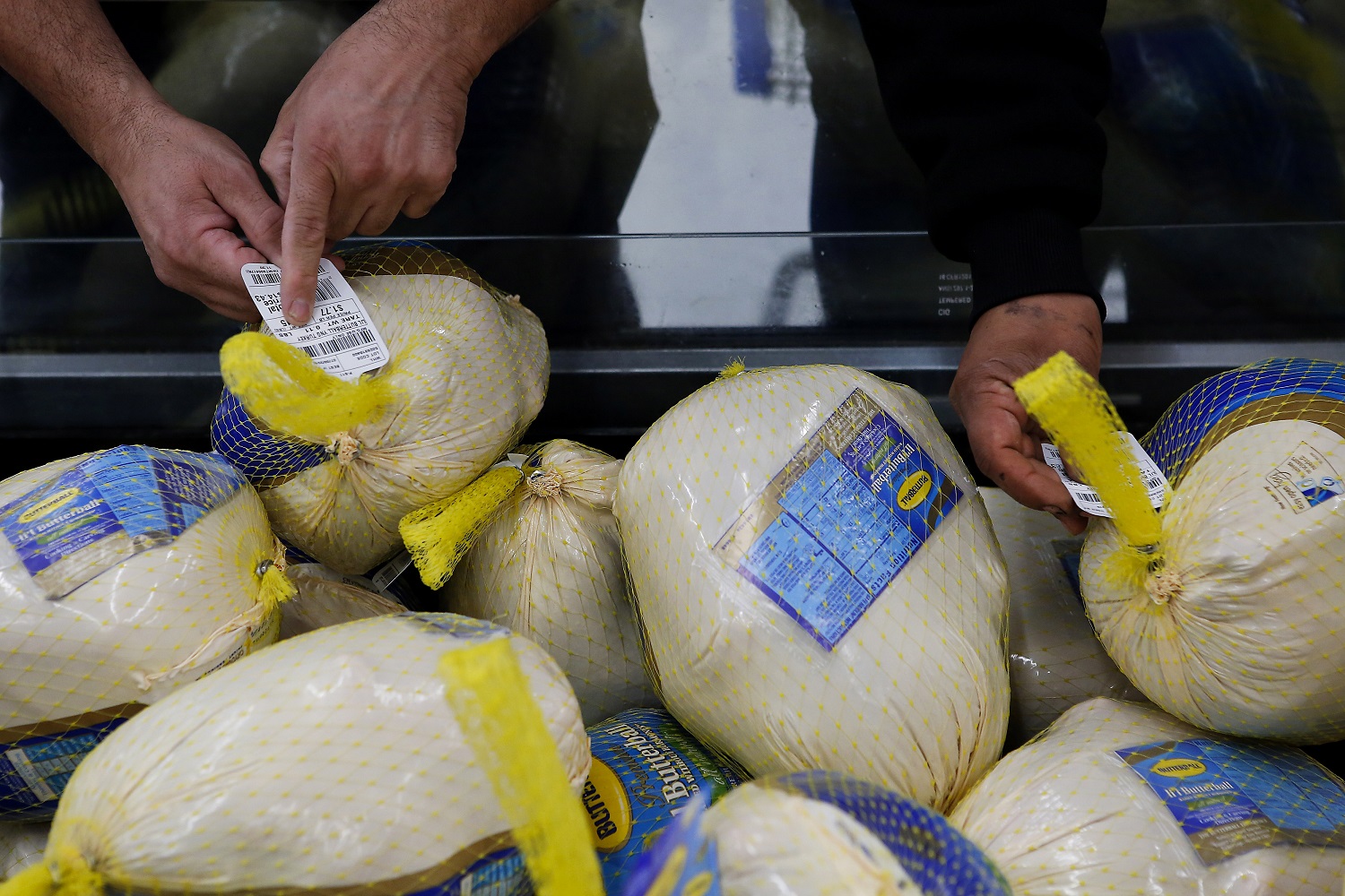 Investigan brote de salmonela en el pavo en EEUU, justo antes de Acción de Gracias