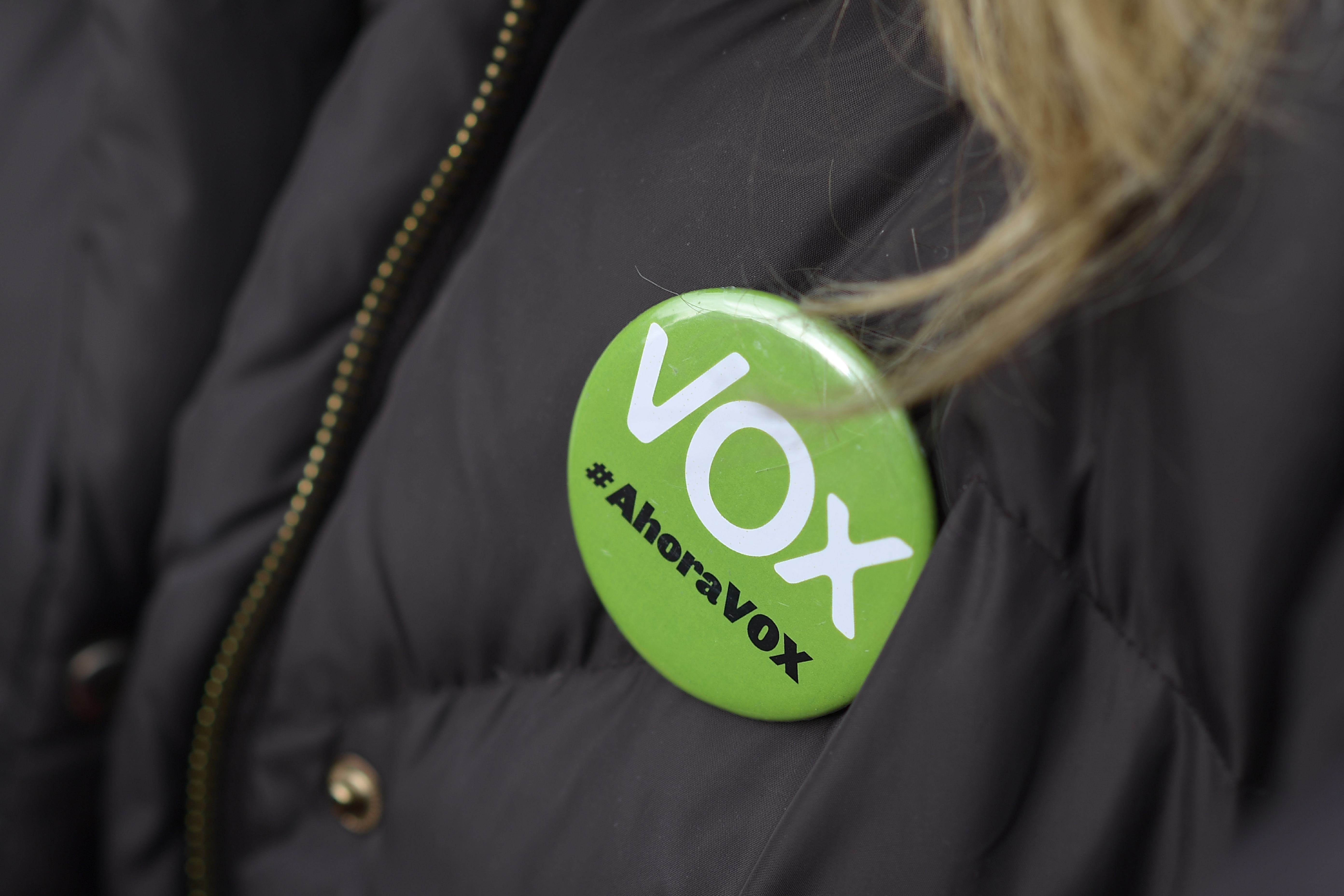 Datos cruciales tras las elecciones por el Parlamento de Andalucía y el triunfo de VOX