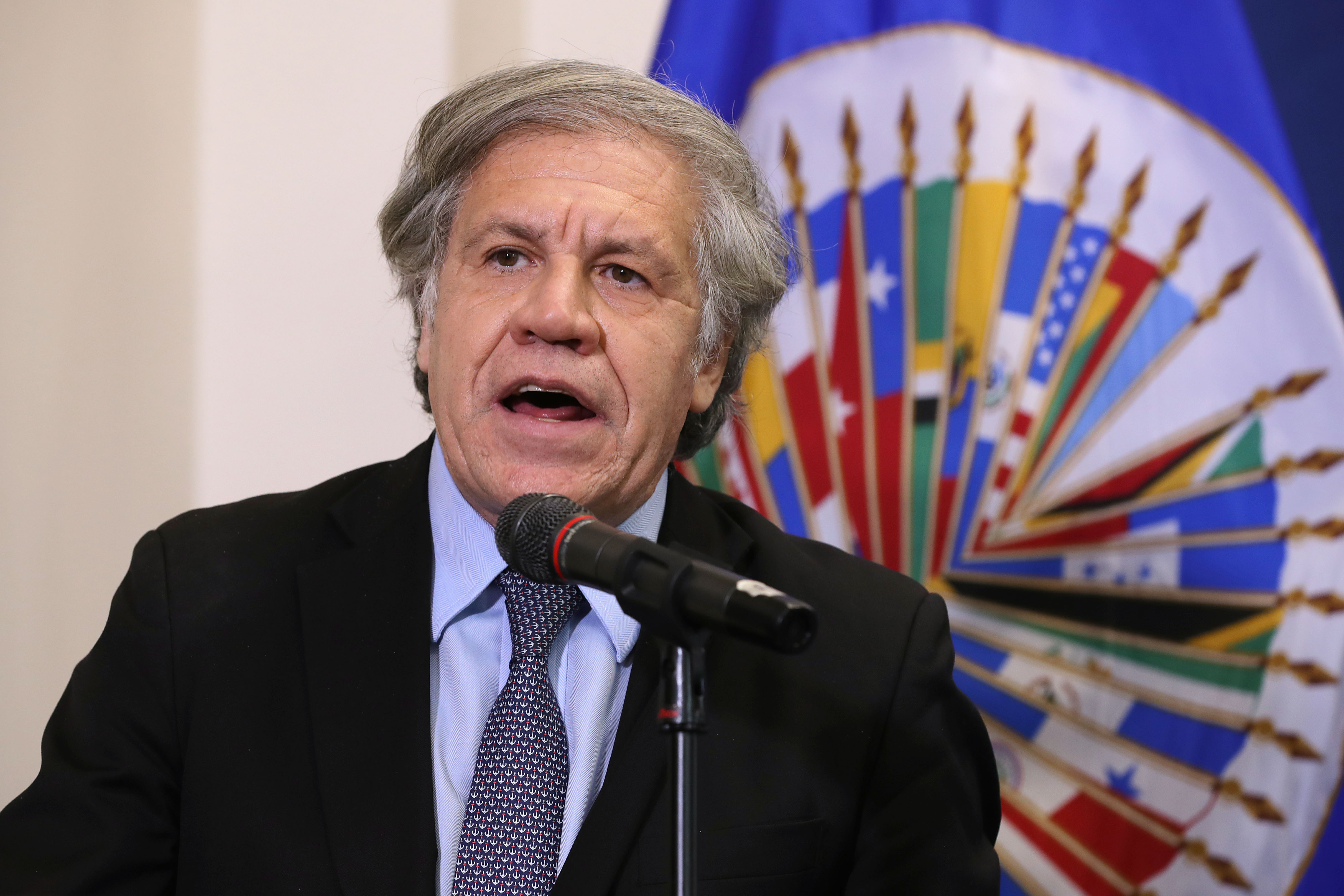 La OEA puede garantizar elecciones libres en Bolivia, asegura Almagro