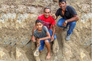 Niño descubre fósil de cocodrilo prehistórico en la Amazonía de Brasil (fotos)