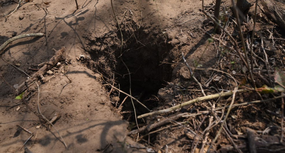 Hallaron 298 cráneos tras concluir escabrosos trabajos en fosas clandestinas de México