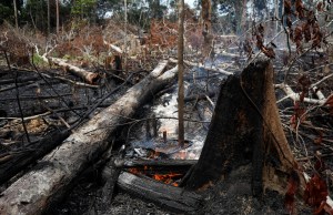 Duque ofrece ayuda para combatir la tragedia ambiental en el Amazonas