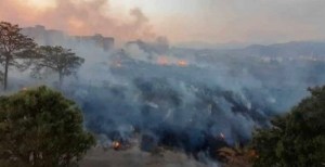 Vecinos de Cagua reportan incendio de vegetación en zona residencial #29Feb (Fotos)