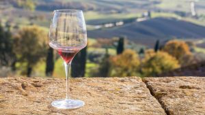 Las mejores catas de vinos en Italia: Qué debes saber si te interesa la degustación de vinos