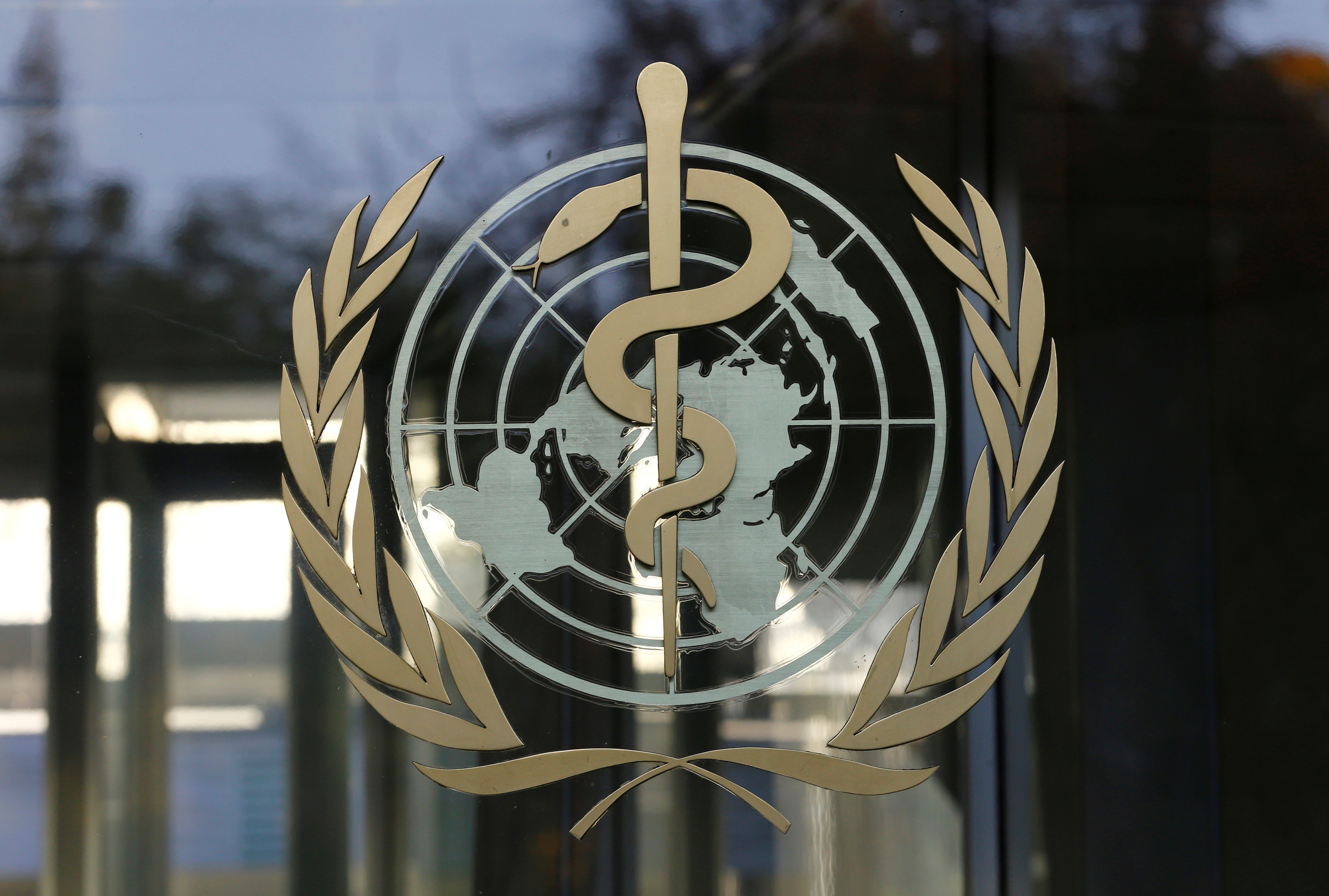 La OMS prevé que la pandemia del coronavirus será “muy larga”