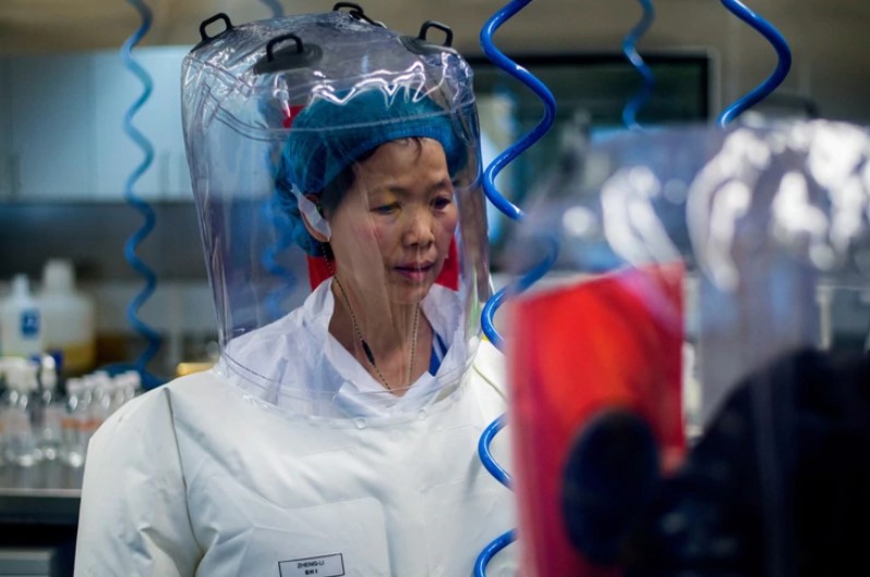 “Seguirá mutando”: El inquietante pronóstico de la reconocida viróloga china Shi Zhengli sobre el Covid-19