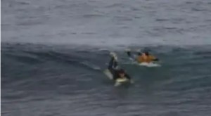Un surfista se peleó a golpes con un tiburón en Australia y sobrevivió al ataque