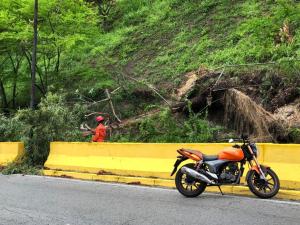Alcalde Elías Sayegh reportó la caída de varios árboles en El Hatillo #3Jul (Fotos)