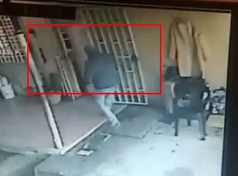 En Cojedes, malandros pretendían robar una casa y “casi lo logran”… la familia trancó la puerta antes que se metieran (VIDEO)