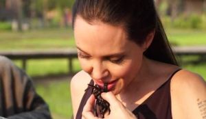 Grillos, gusanos y tarántulas: La curiosa dieta de Angelina Jolie