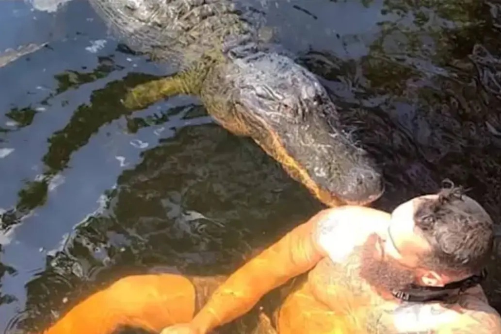 ¡Vaya susto! Dijo que un cocodrilo era “su amigo” pero terminó mordido en el hombro (VIDEO)