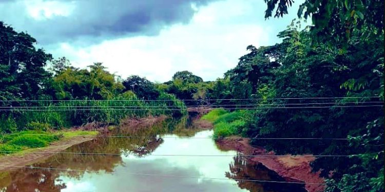 Denunciaron nuevo derrame de petróleo en el río Amana de Monagas (Fotos)