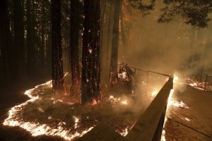 Feroces vientos en California avivaron incendios, derribaron árboles y provocaron apagones