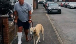 Hombre en muletas gastó un dineral en su perro porque “cojeaba”… el animal solo lo imitaba (VIDEO)