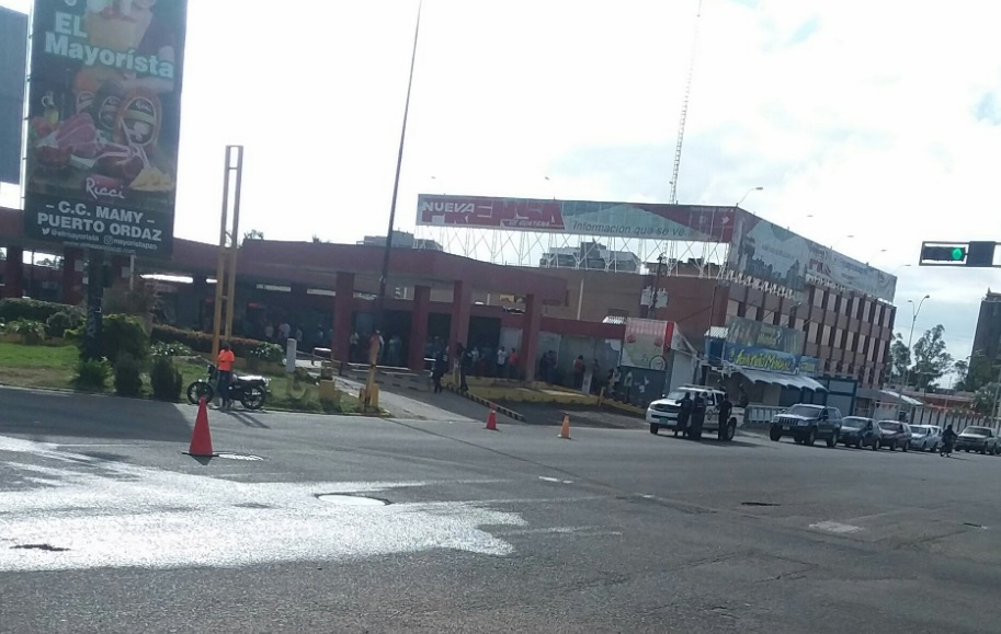 En Puerto Ordaz, a los carros les salen raíces esperando por la gasolina #12Feb (FOTO)