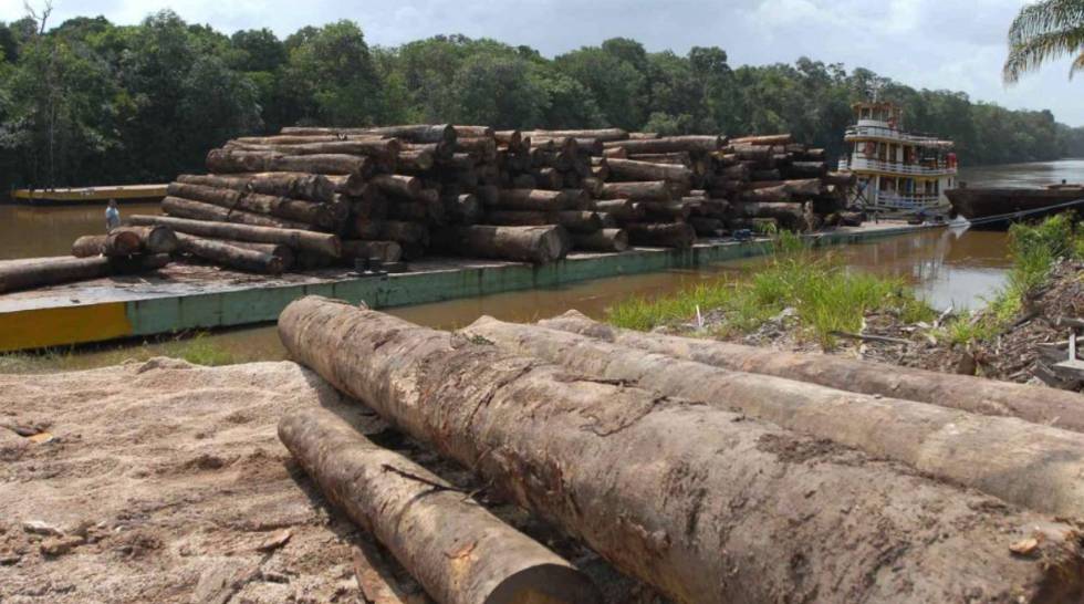 Unión Europea, segunda responsable mundial de la deforestación importada tras China