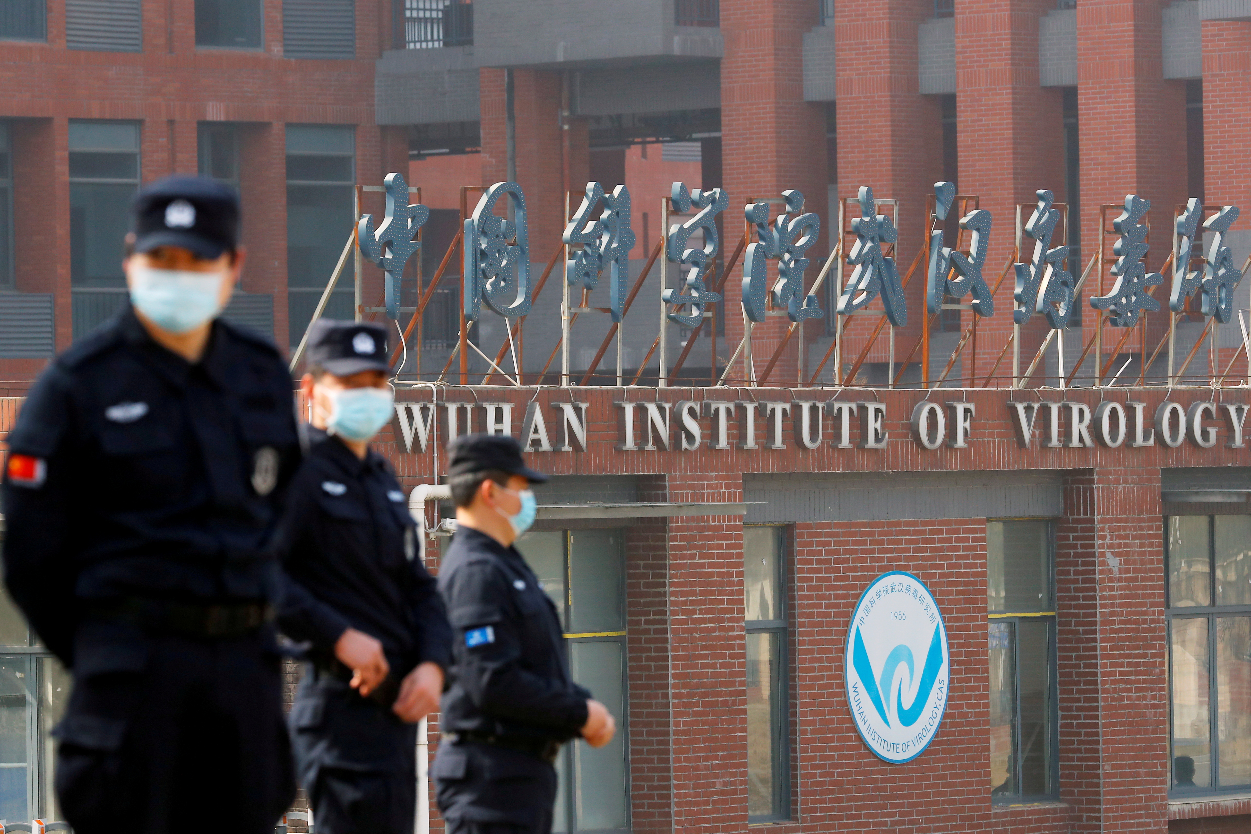 El origen de las sospechas sobre el laboratorio de Wuhan: La muerte de tres trabajadores en una mina llena de murciélagos en 2012