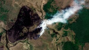 Naturaleza en llamas: 20 años de incendios en Áreas Protegidas de Venezuela