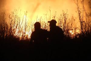 Se complica la lucha contra los incendios en Grecia por los fuertes vientos que azotan las zonas afectadas