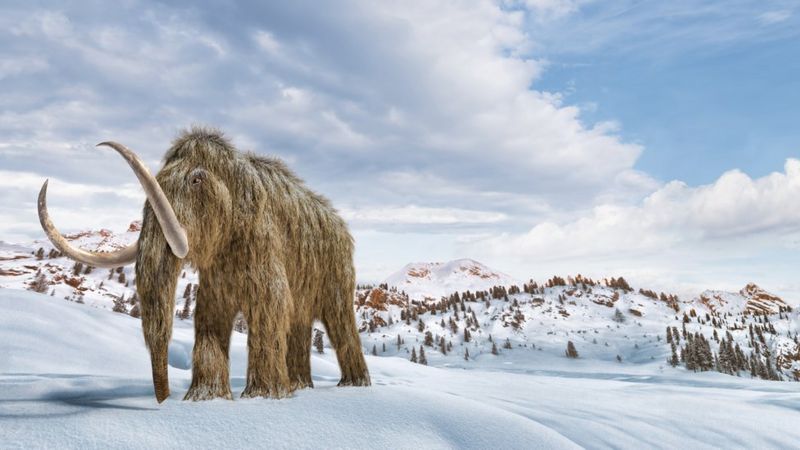 ¿Salvar la Tierra resucitando mamuts? La estrategia de unos científicos para combatir el cambio climático