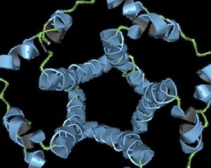 El coronavirus en 3D: Descifraron la táctica que usa para invadir las células humanas