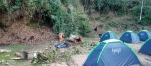 Muere alumno de la UNES tras la caída de un árbol en El Junquito