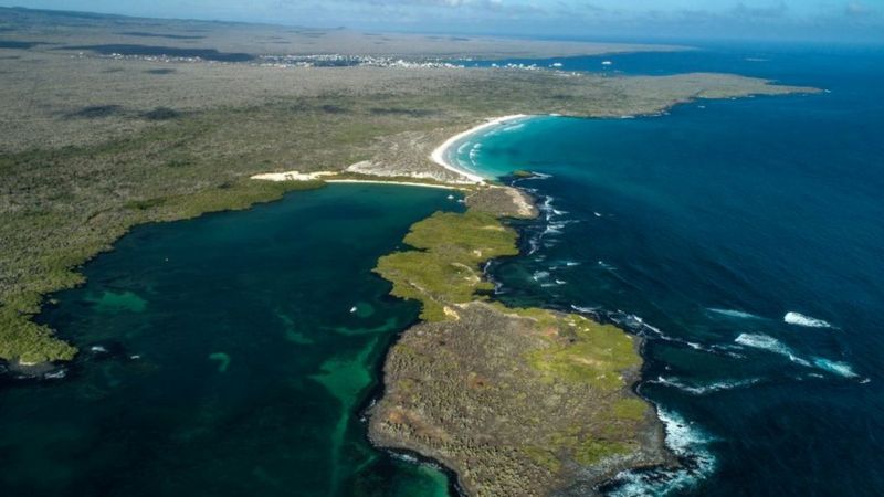 En qué consiste el corredor libre de pesca en aguas de América Latina acordado en la COP26