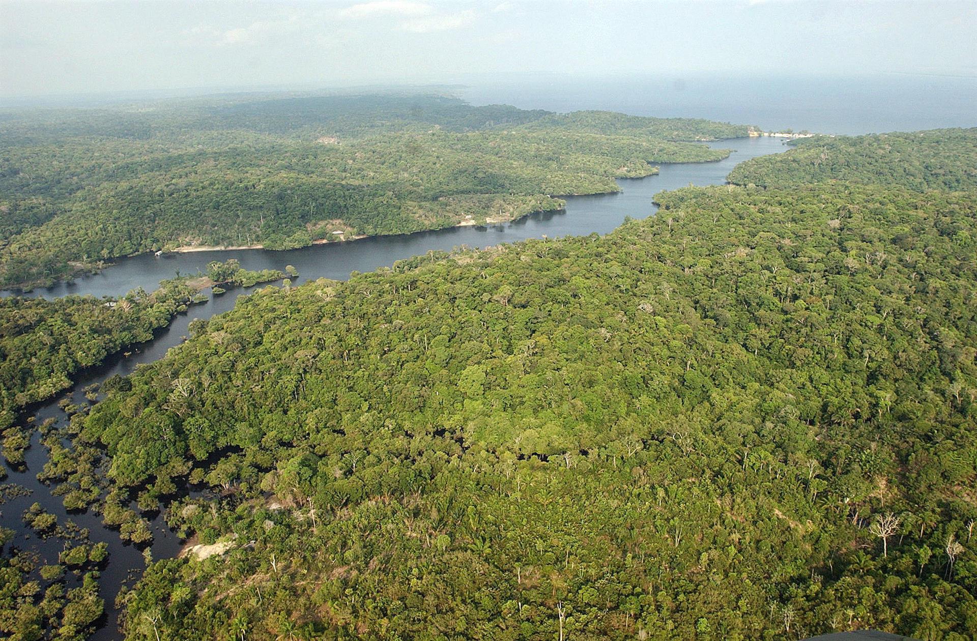 La sabiduría de los pobladores de la Amazonía podría estabilizar la conservación de la biodiversidad