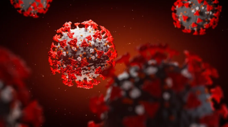 Detectan el ácido nucleico que bloquea la entrada del coronavirus en las células humanas