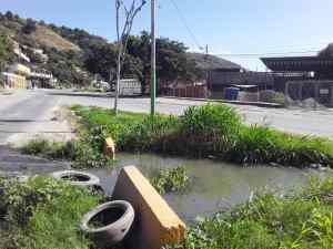 La odisea de entrar o salir de San Mateo: aguas negras se tragan la carretera de la población aragüeña