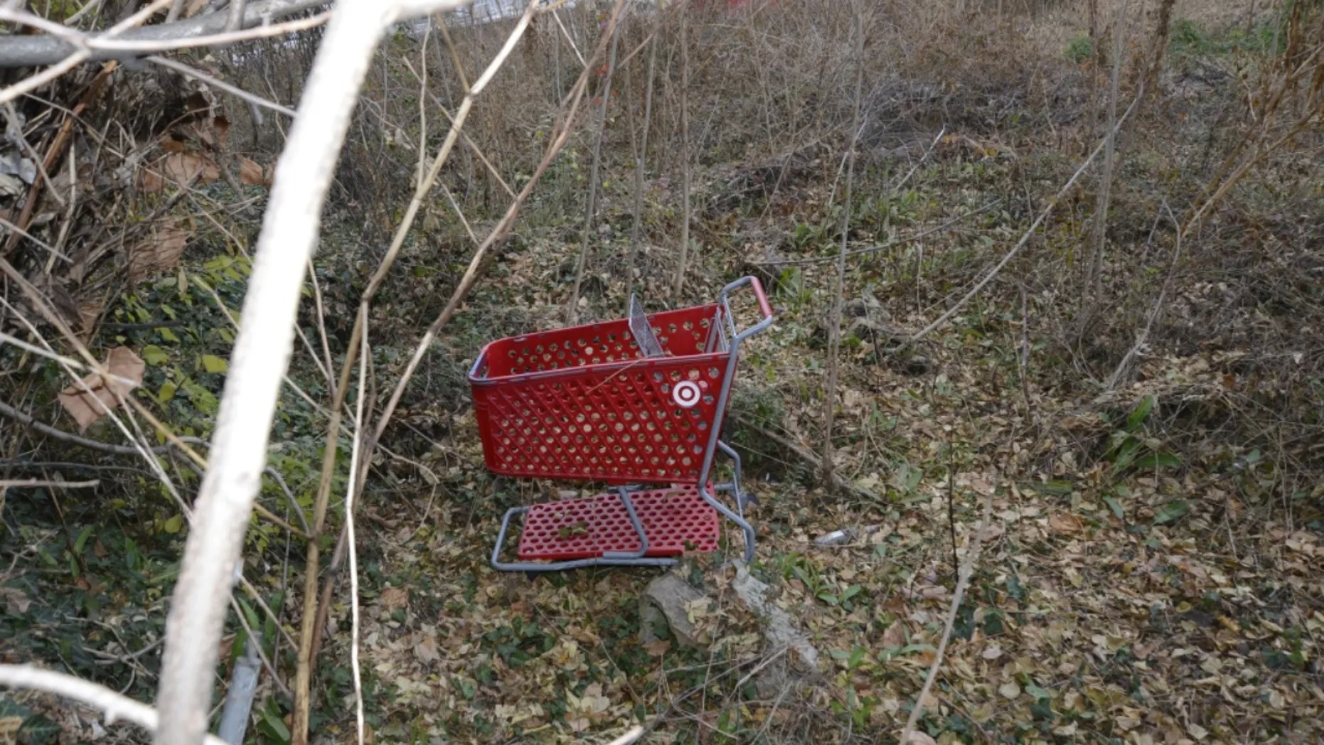 Mató a cuatro pero podrían ser más: Detenido el “asesino del carrito de compras” en EEUU